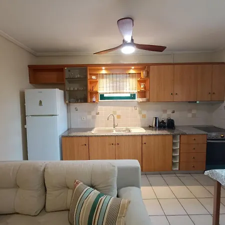 Διαμέρισμα Libelloula's Google It