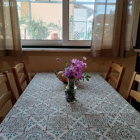 Libelloula's Google It