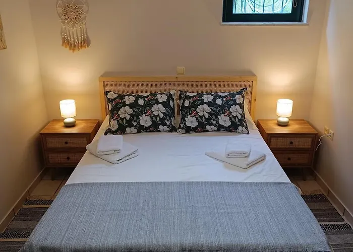 Apartment Libelloula's Google It *